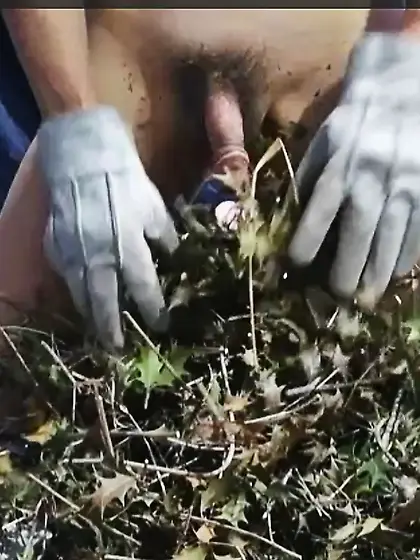 柊の葉の棘に感じている