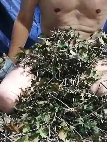 柊の葉の棘に感じている