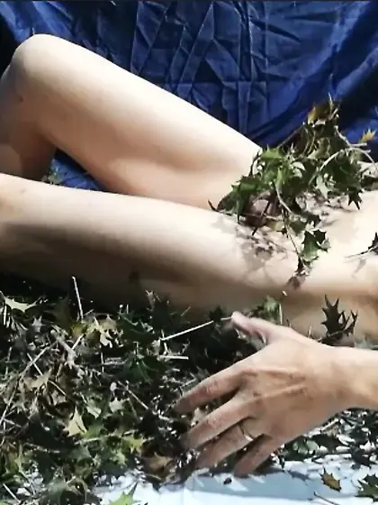 柊の葉の棘に感じている