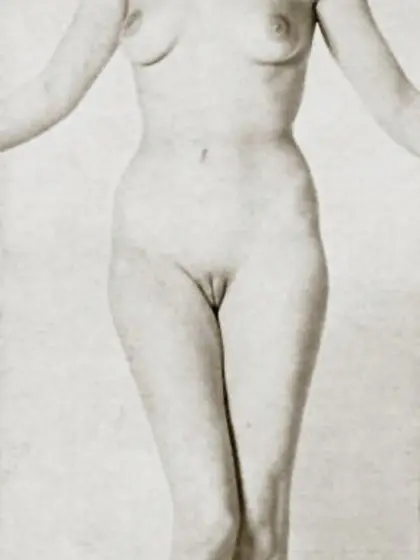 Wild wifves fifties freshly