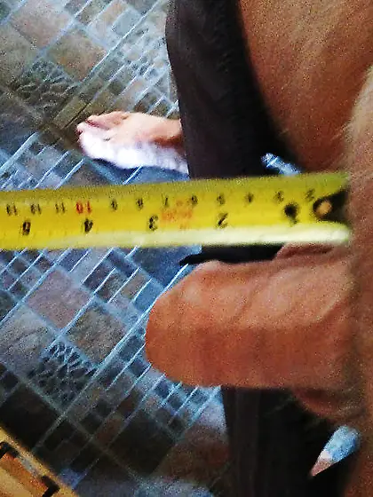 Tiny dick faggot Guy Trepanier