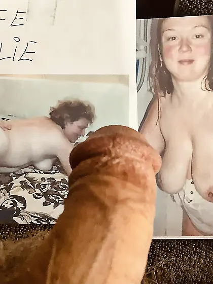 Dolly »tribute »Extra