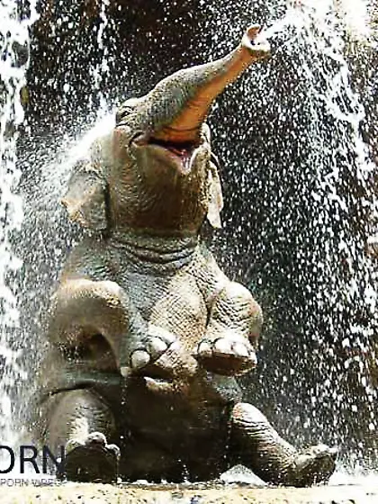 Things that make me laugh (Non Porn)