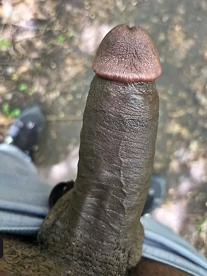 cocks that I have sucked or been fucked by