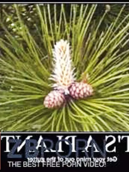 Jun twenty seven playtime