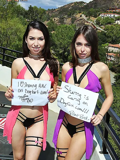 Tall chocolate bruiser relaxes in living room with two skinny se